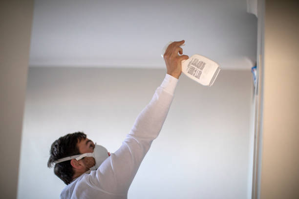 Best Water Damage Restoration  in Shelton, WA