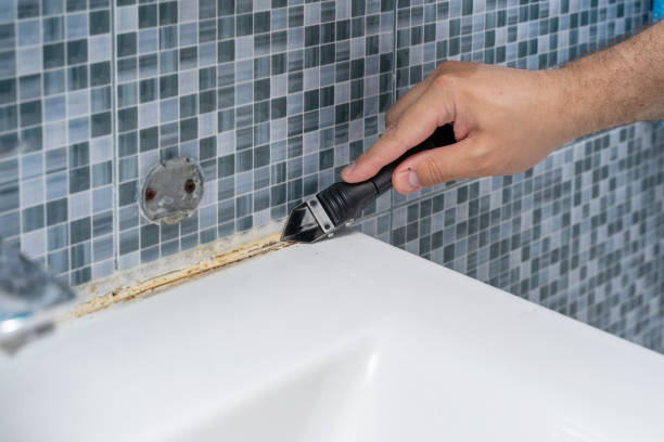 Best Residential Mold Removal  in Shelton, WA