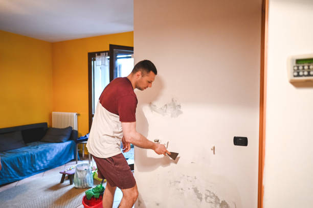 Best Fast Mold Removal  in Shelton, WA